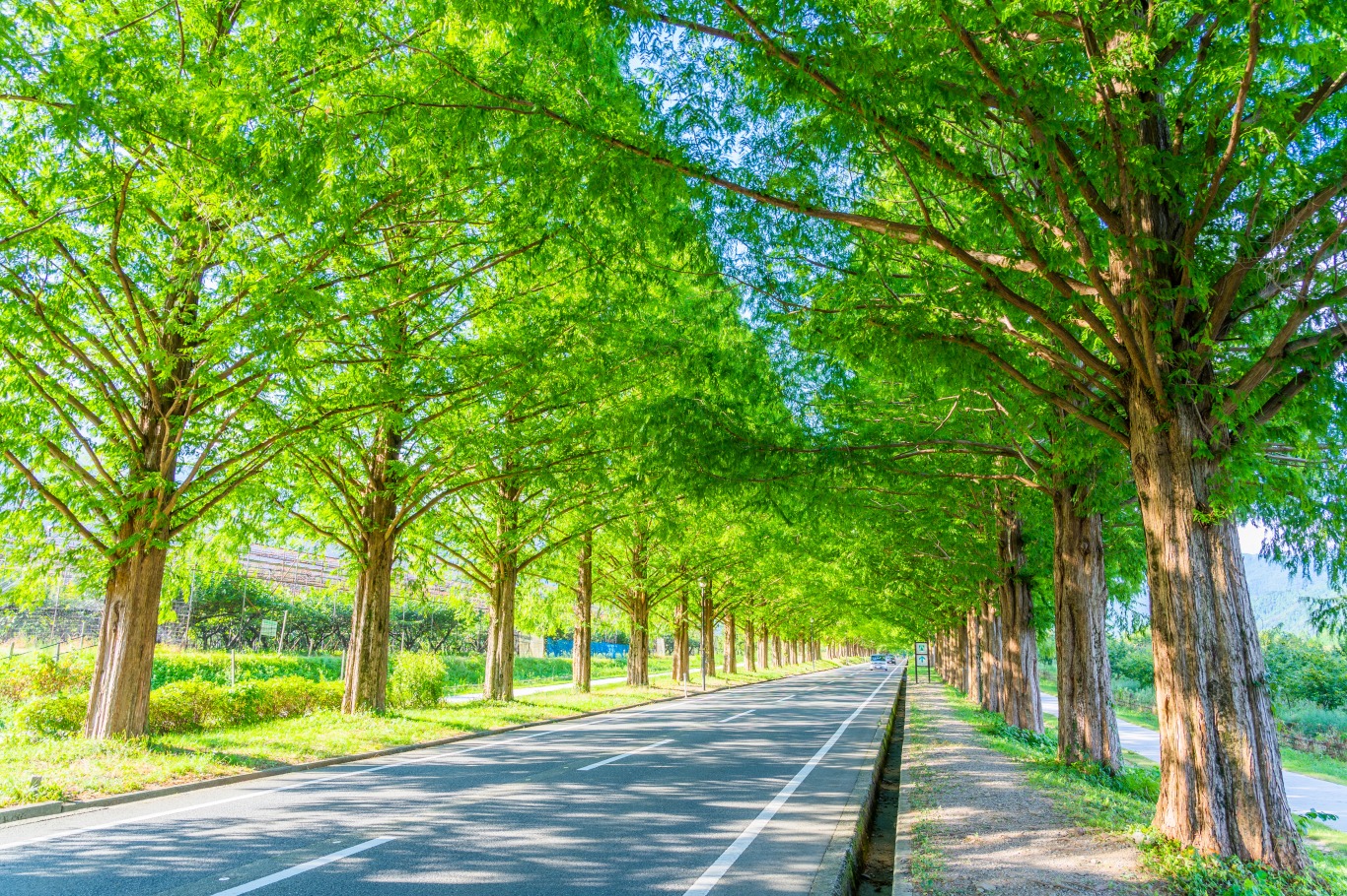 AdobeStock_375262261 (1).jpeg